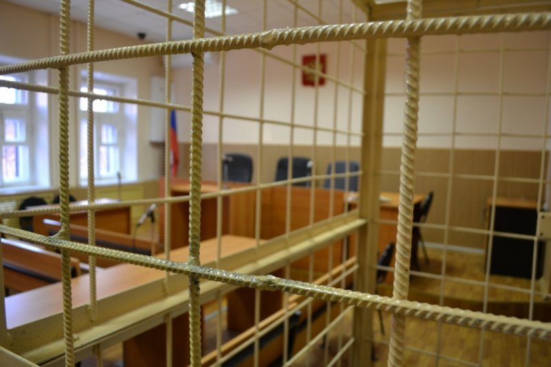 Женщина-водитель ответит за сбитую на «зебре» пенсионерку